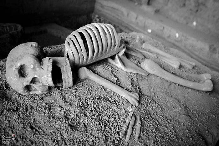 سایت باستانی گوهرتپه