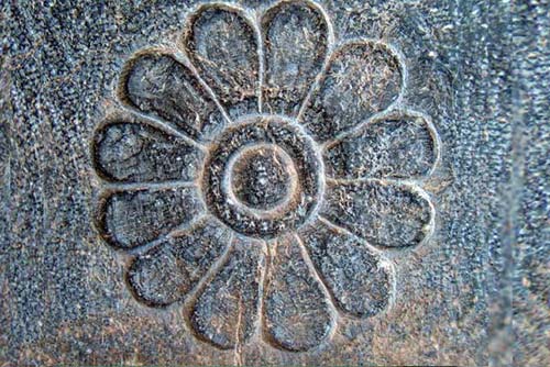 گل نیلوفر: نماد پاکی و جاودانگی